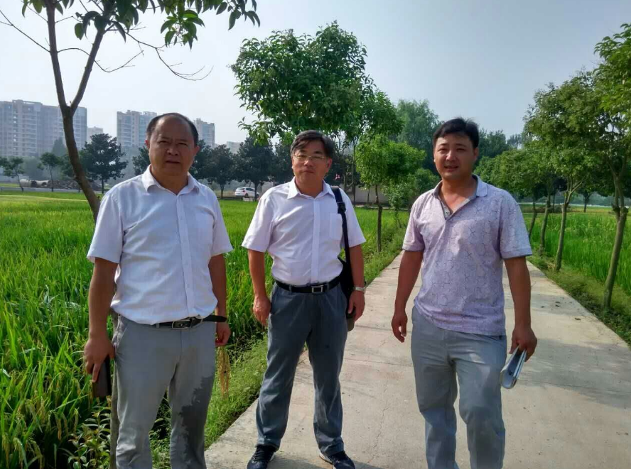 江苏虫虫漫画
种业虫虫漫画有限公司信阳工作站接待中国水稻研究所一行访问考察