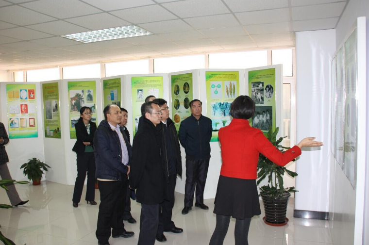 天津市中小企业发展促进局来虫虫漫画
公司调研博士后工作