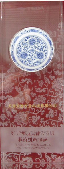 公司荣获天津开发区2012年度虫虫漫画创新15强企业称号